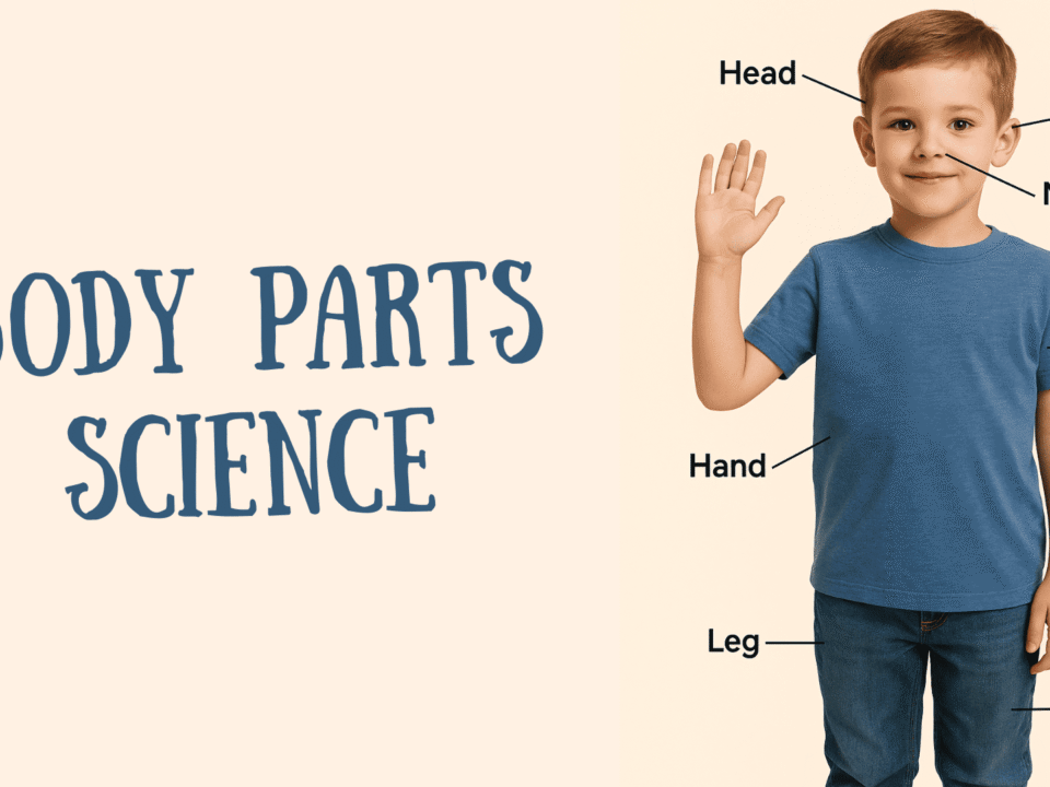 Body parts science ..